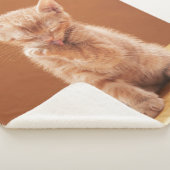 最も可愛い赤ん坊の動物 |オレンジ虎猫子猫 シェルパブランケット (3/4)