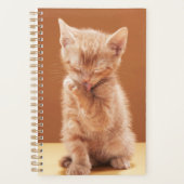 最も可愛い赤ん坊の動物 |オレンジ虎猫子猫 プランナー手帳 (正面)