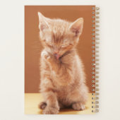 最も可愛い赤ん坊の動物 |オレンジ虎猫子猫 プランナー手帳 (裏面)