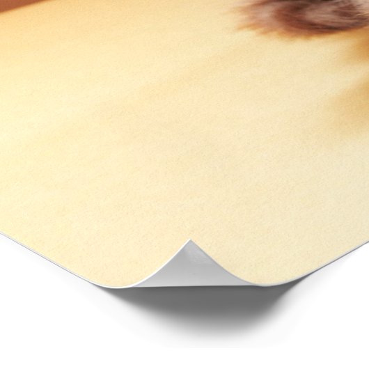 最も可愛い赤ん坊の動物 |オレンジ虎猫子猫 ポスター (角)