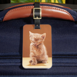 最も可愛い赤ん坊の動物  オレンジ虎猫子猫 ラゲッジタグ