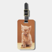 最も可愛い赤ん坊の動物 |オレンジ虎猫子猫 ラゲッジタグ (正面縦)