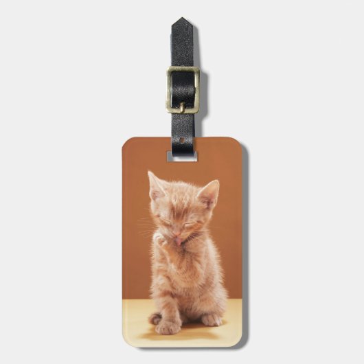 最も可愛い赤ん坊の動物 |オレンジ虎猫子猫 ラゲッジタグ (正面縦)