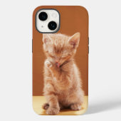 最も可愛い赤ん坊の動物 |オレンジ虎猫子猫 Case-Mate iPhoneケース (裏面)