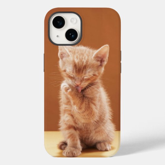 最も可愛い赤ん坊の動物 |オレンジ虎猫子猫 Case-Mate iPhoneケース (裏面)