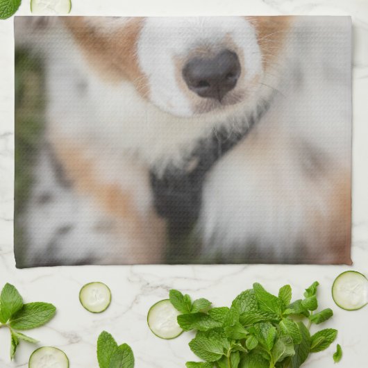 最も可愛い赤ん坊の動物 |オーストラリアの羊飼い犬 キッチンタオル (折り畳み)