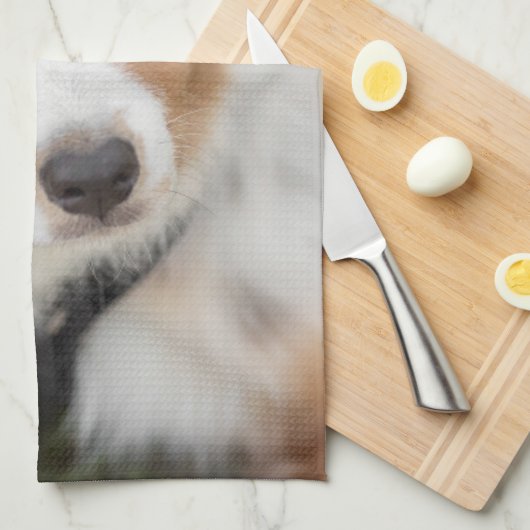 最も可愛い赤ん坊の動物 |オーストラリアの羊飼い犬 キッチンタオル (四つ折り)