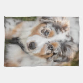 最も可愛い赤ん坊の動物 |オーストラリアの羊飼い犬 キッチンタオル (横)