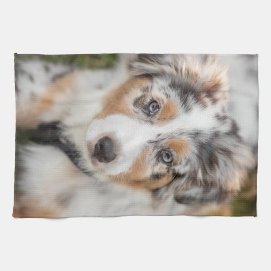 最も可愛い赤ん坊の動物 |オーストラリアの羊飼い犬 キッチンタオル (横)
