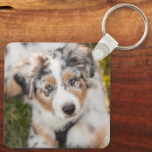 最も可愛い赤ん坊の動物 |オーストラリアの羊飼い犬 キーホルダー (裏面)