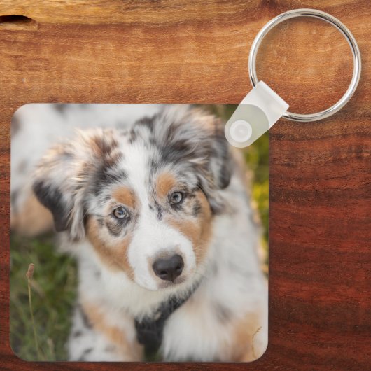 最も可愛い赤ん坊の動物 |オーストラリアの羊飼い犬 キーホルダー (裏面)