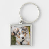 最も可愛い赤ん坊の動物 |オーストラリアの羊飼い犬 キーホルダー (正面)