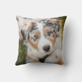 最も可愛い赤ん坊の動物 |オーストラリアの羊飼い犬 クッション (裏面)