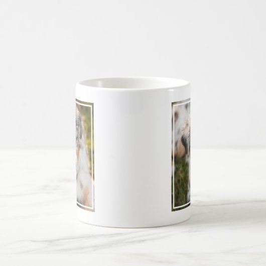 最も可愛い赤ん坊の動物 |オーストラリアの羊飼い犬 コーヒーマグカップ (中央)