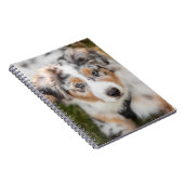 最も可愛い赤ん坊の動物 |オーストラリアの羊飼い犬 ノートブック (右側)