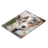 最も可愛い赤ん坊の動物 |オーストラリアの羊飼い犬 ノートブック (左側)