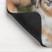 最も可愛い赤ん坊の動物 |オーストラリアの羊飼い犬 マウスパッド (コーナー)