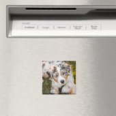 最も可愛い赤ん坊の動物 |オーストラリアの羊飼い犬 マグネット (インサイチュ (食洗機))