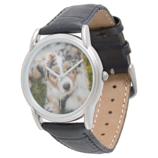 最も可愛い赤ん坊の動物 |オーストラリアの羊飼い犬 腕時計 (アングル)