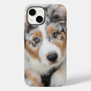 最も可愛い赤ん坊の動物 オーストラリアの羊飼い犬 Case-Mate iPhone 14ケース