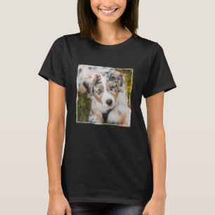 最も可愛い赤ん坊の動物 オーストラリアの羊飼い犬 Tシャツ