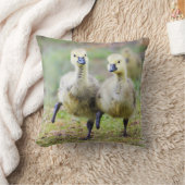 最も可愛い赤ん坊の動物 |カナダのガチョウ クッション (ブランケット)