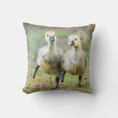 最も可愛い赤ん坊の動物 |カナダのガチョウ クッション (正面)