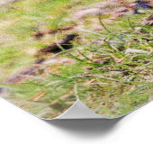 最も可愛い赤ん坊の動物 |カナダのガチョウ ポスター (角)