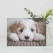 最も可愛い赤ん坊の動物 |カバシオン・パピー サンキューカード (スタンド正面)