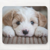 最も可愛い赤ん坊の動物 |カバシオン・パピー マウスパッド (正面)