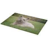 最も可愛い赤ん坊の動物 |カーン・テリア・ドッグ カッティングボード (角)