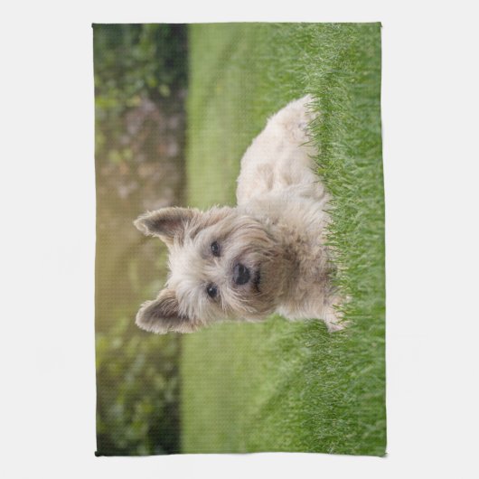 最も可愛い赤ん坊の動物 |カーン・テリア・ドッグ キッチンタオル (縦)