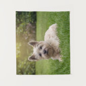 最も可愛い赤ん坊の動物 |カーン・テリア・ドッグ タペストリー (正面)