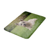 最も可愛い赤ん坊の動物 |カーン・テリア・ドッグ バスマット (アングル)