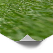 最も可愛い赤ん坊の動物 |カーン・テリア・ドッグ ポスター (角)