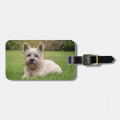 最も可愛い赤ん坊の動物 |カーン・テリア・ドッグ ラゲッジタグ (正面横)