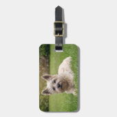 最も可愛い赤ん坊の動物 |カーン・テリア・ドッグ ラゲッジタグ (正面縦)