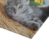 最も可愛い赤ん坊の動物 |キットンラウンジ カッティングボード (角)