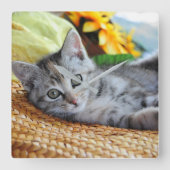 最も可愛い赤ん坊の動物 |キットンラウンジ スクエア壁時計 (正面)