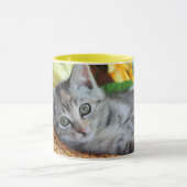 最も可愛い赤ん坊の動物 |キットンラウンジ マグカップ (中央)