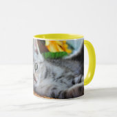 最も可愛い赤ん坊の動物 |キットンラウンジ マグカップ (正面右)