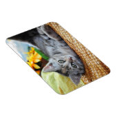 最も可愛い赤ん坊の動物 |キットンラウンジ マグネット (右側)