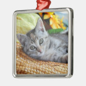 最も可愛い赤ん坊の動物 |キットンラウンジ メタルオーナメント (左)