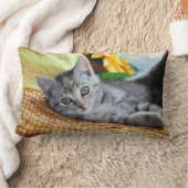 最も可愛い赤ん坊の動物 |キットンラウンジ ランバークッション (ブランケット)