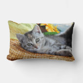 最も可愛い赤ん坊の動物 |キットンラウンジ ランバークッション (正面)