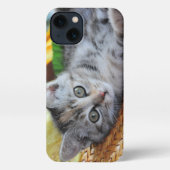 最も可愛い赤ん坊の動物 |キットンラウンジ iPhoneケース (裏面)