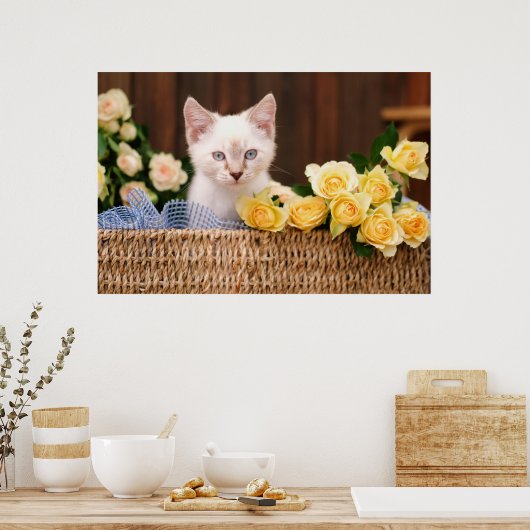 最も可愛い赤ん坊の動物 |キットン&イエローローズ ポスター (キッチン)