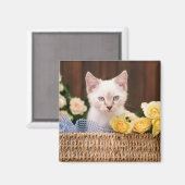 最も可愛い赤ん坊の動物 |キットン&イエローローズ マグネット (正面/裏面)