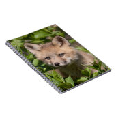最も可愛い赤ん坊の動物 |キツネキット ノートブック (右側)