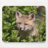 最も可愛い赤ん坊の動物 |キツネキット マウスパッド (正面)